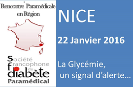 vignette_nice_final